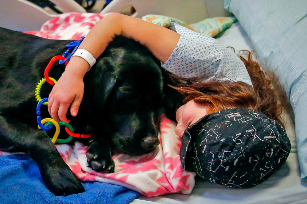 K9 cuddles bring joy to kids at Chile hospital K9 cuddles bring joy to kids at Chile hospital