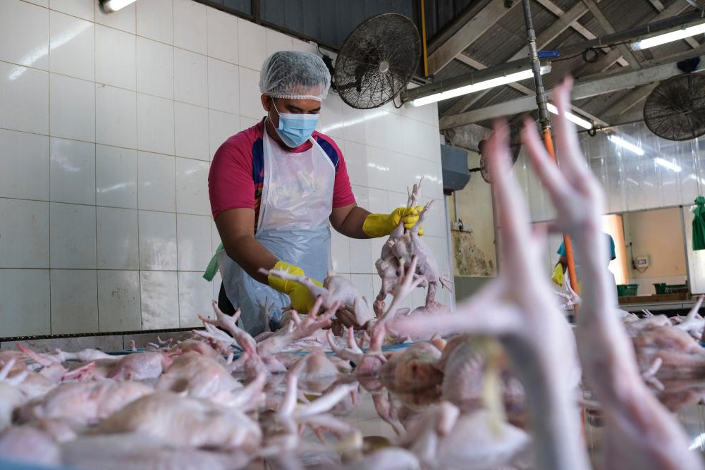 KPDNHEP Terengganu kesan peladang kenakan caj tersembunyi kepada pemborong KPDNHEP Terengganu kesan peladang kenakan caj tersembunyi kepada pemborong