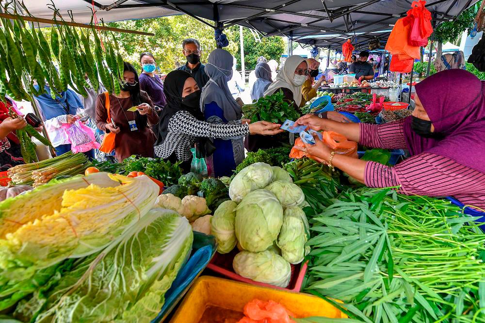 Kekurangan sayur: Fama diarah kenal pasti kawasan terjejas Kekurangan sayur: Fama diarah kenal pasti kawasan terjejas