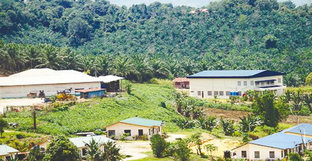 Kim Loong Q3 net profit more than doubles on jump in crude palm oil, fresh fruit bunch prices