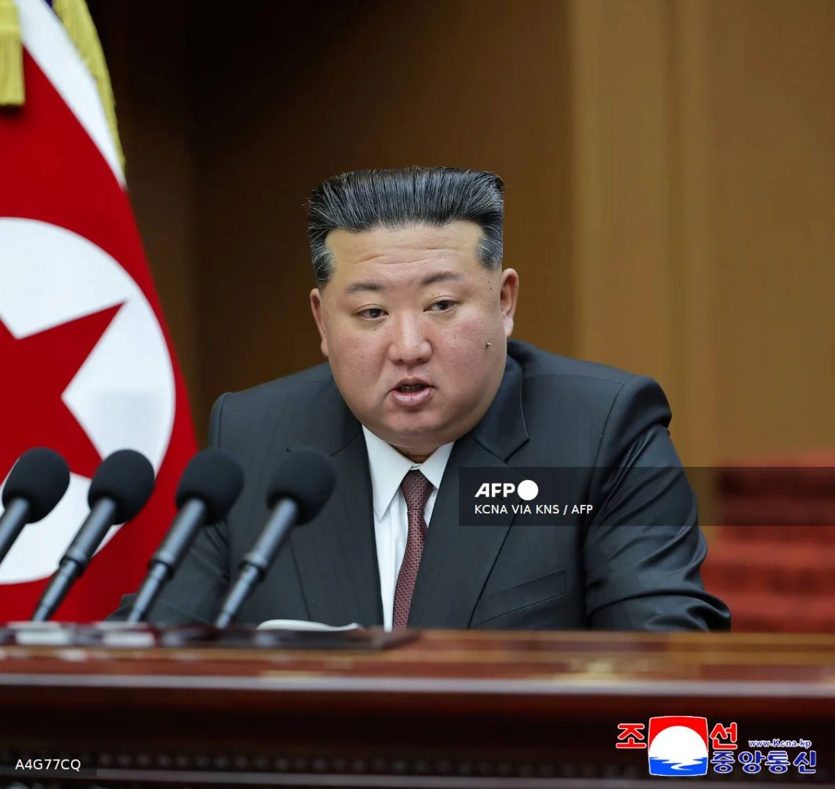 Kim vows North Korea's 'unshakable' support for Russia