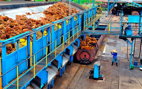 Kuala Lumpur Kepong Q1 earnings more than double as all segments perform well Kuala Lumpur Kepong Q1 earnings more than double as all segments perform well