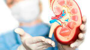 Leading a healthy life with one kidney