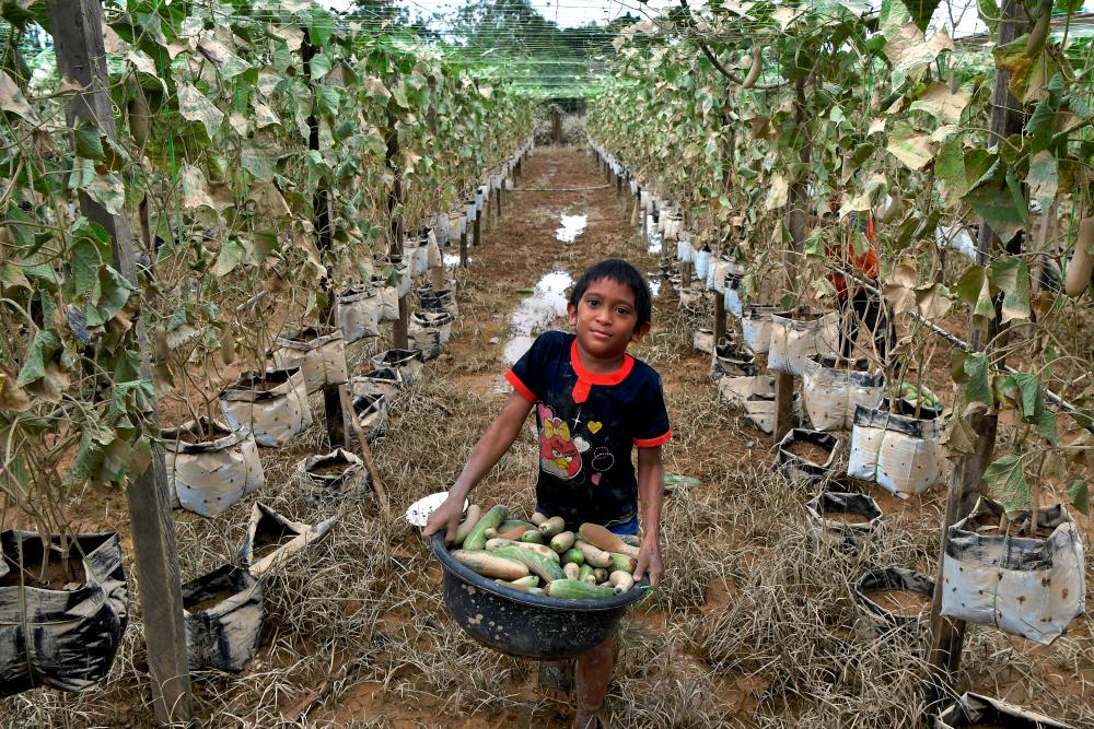 MAFI to evaluate agrofood sector losses in flood-hit K’tan, T’ganu MAFI to evaluate agrofood sector losses in flood-hit K’tan, T’ganu