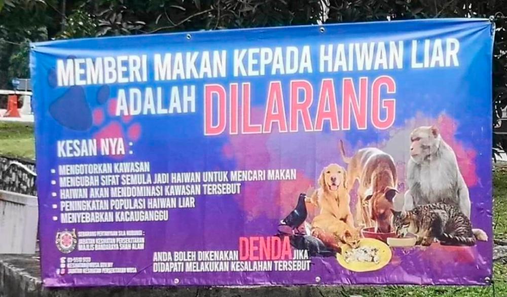 MBSA explains âDo not feed animalsâ campaign