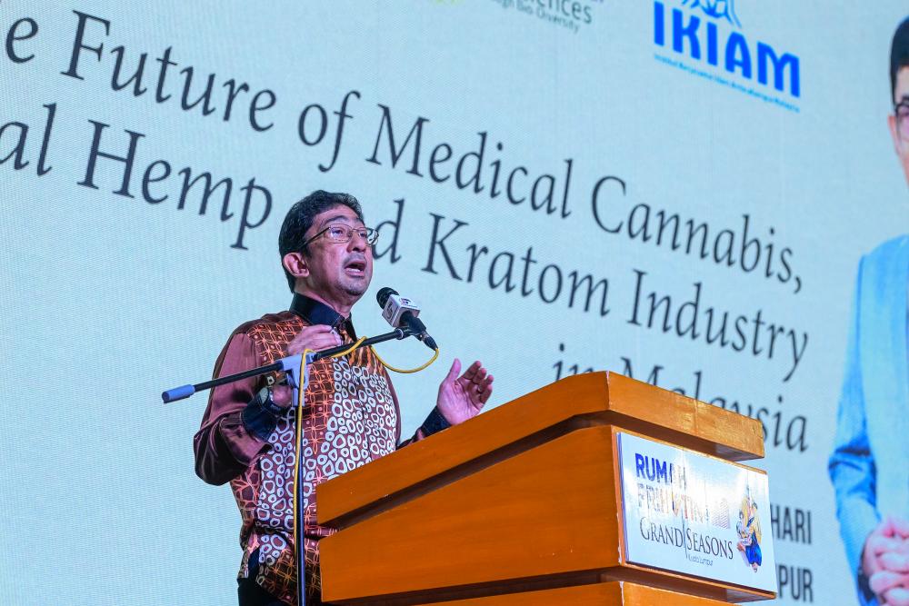 MOH, Home Ministry urged to approve growing of cannabis for medical purposes MOH, Home Ministry urged to approve growing of cannabis for medical purposes