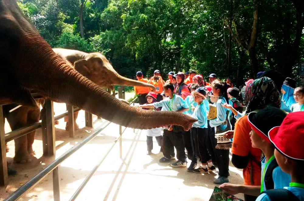 MPHTJ teams up with private firms to upgrade Melaka Zoo