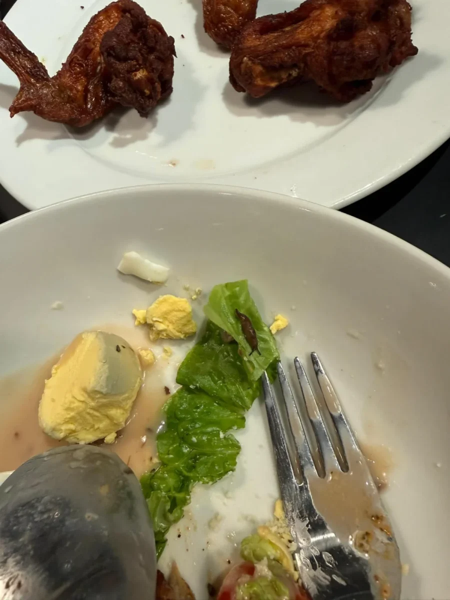 M'sian finds live slug in salad served at popular furniture store in Johor M'sian finds live slug in salad served at popular furniture store in Johor
