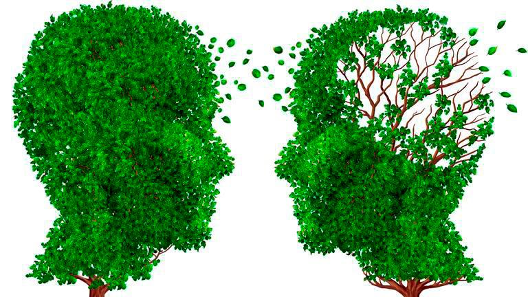 Malaysian Alzheimerâs Disease researchers named to Global Davos Alzheimerâs Collaborative