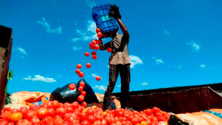 Map out food waste-water-energy nexus Map out food waste-water-energy nexus