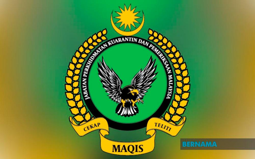 Maqis disposes of imported birds detected positive for Avian Influenza virus Maqis disposes of imported birds detected positive for Avian Influenza virus