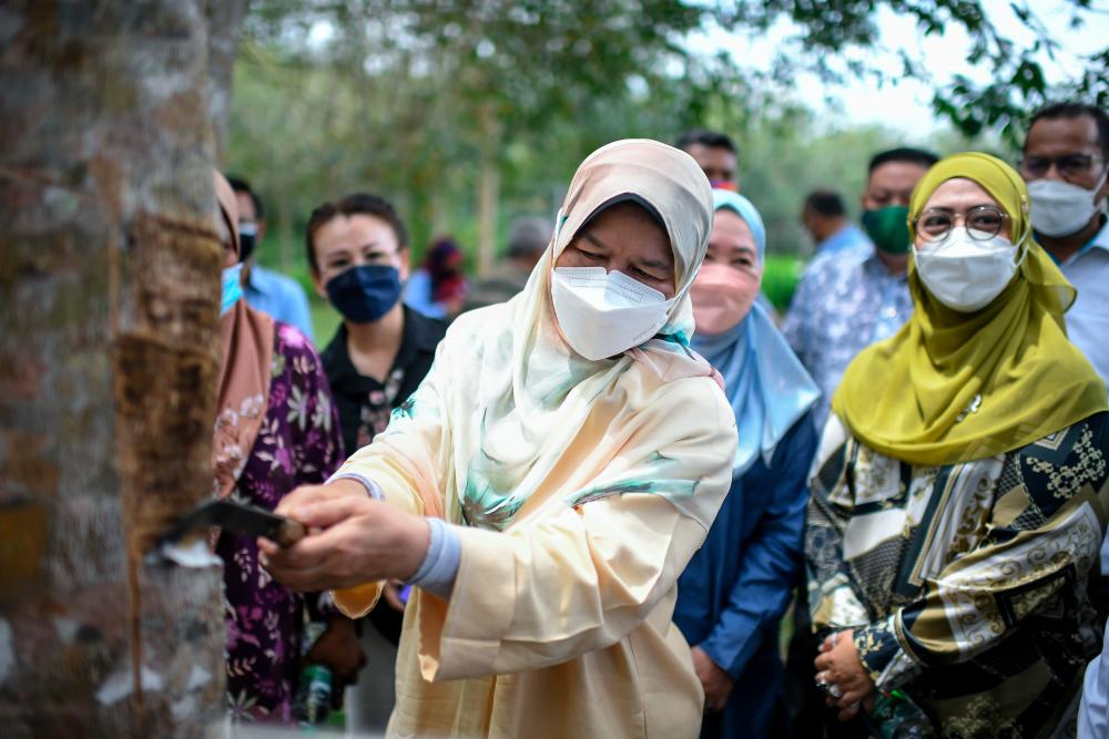Ministry to study proposal to increase floor price of scrap rubber: Zuraida Ministry to study proposal to increase floor price of scrap rubber: Zuraida