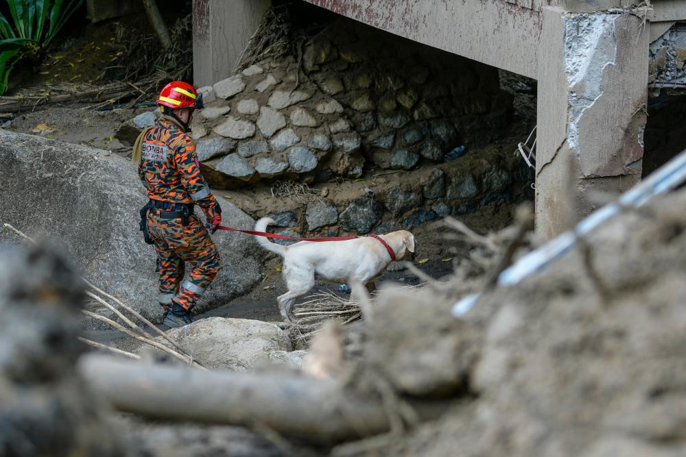 More must be done to prevent floods More must be done to prevent floods