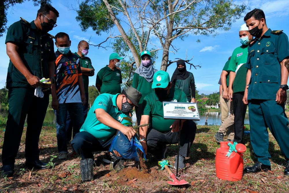 More public participation needed to ensure success of 100 million tree-planting campaign