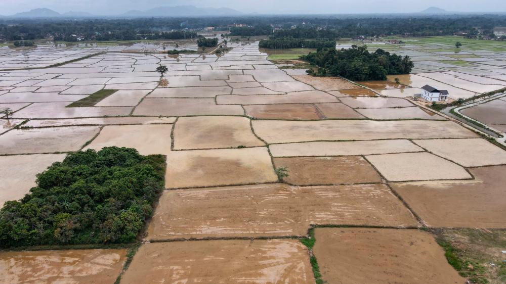 Number of flood evacuees drops in Kelantan, Terengganu, Sabah