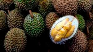 Online recipe-sharing helps Norhabibah earn extra income with D24 durian ice cream
