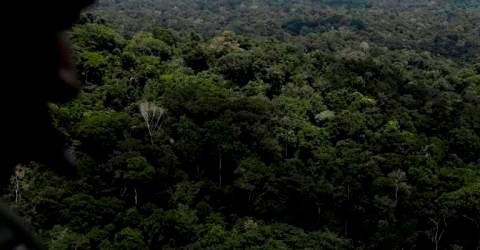 Orang Asli community rooting for Kuala Langat Forest Reserve