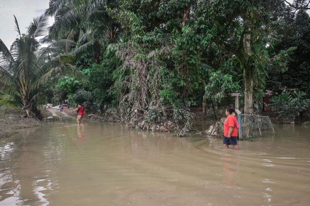 Orang Asli rayu aktiviti di Tanah Tinggi Lojing dihentikan sementara Orang Asli rayu aktiviti di Tanah Tinggi Lojing dihentikan sementara