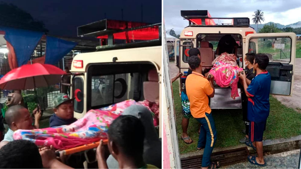 Orang Asli woman injured in elephant attack, case referred to Perhilitan: MB