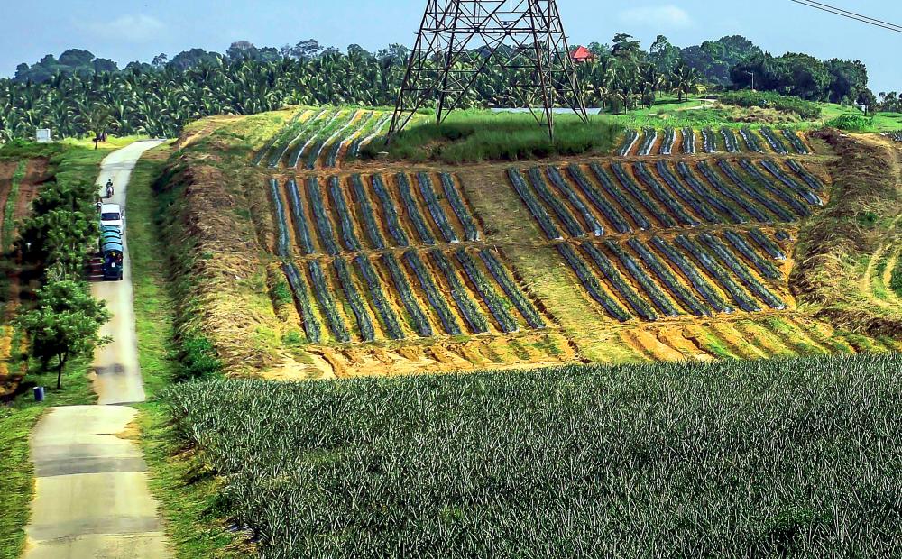 Over US$27b disbursed among Indian farmers in 4 years: Minister