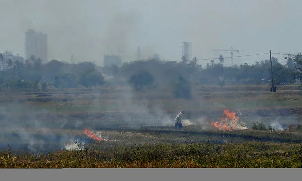PG03_040319_PEMBAKARAN_BN201903032239 Kedah DOE tackles surge in open burning complaints