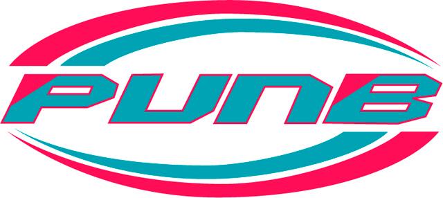PUNB to set up special department to manage digital business PUNB to set up special department to manage digital business