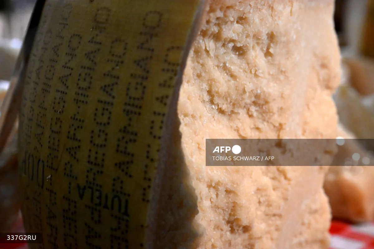 Parmesan_exports_surge_as_domestic_Italian_sales_decline Parmesan exports surge as domestic Italian sales decline