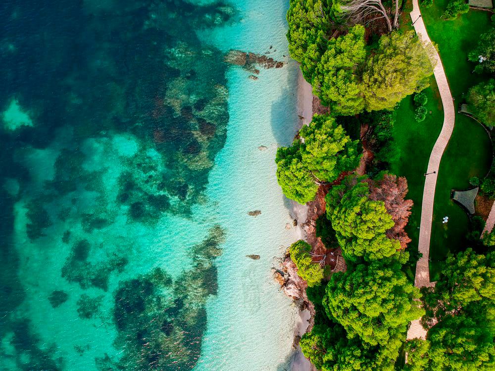 Parts of Australia’s Great Barrier Reef show highest coral cover in 36 years Parts of Australia’s Great Barrier Reef show highest coral cover in 36 years