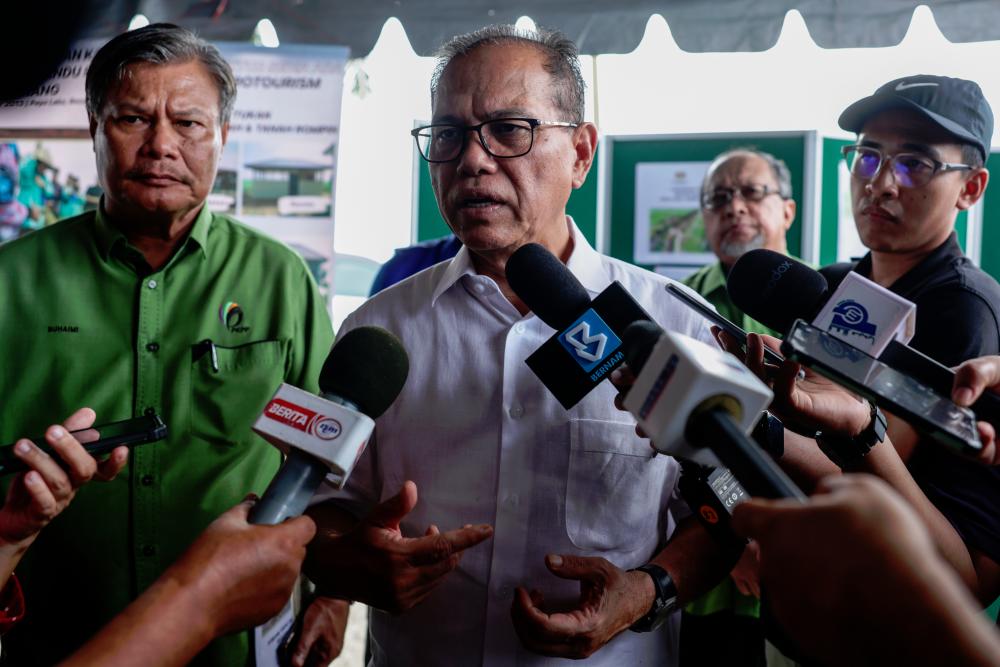 Paya Laka dibangun sebagai destinasi pelancongan berasaskan sawah padi: MB Pahang