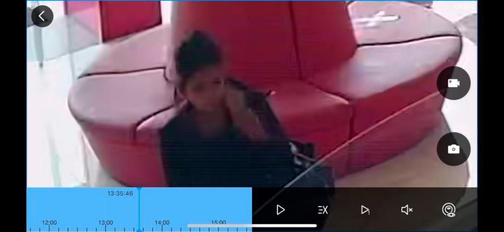 Police: Woman in Shah Alam cafe not Zalina
