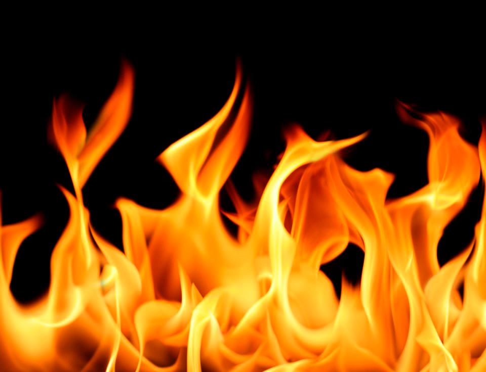 Puppy saves family from burning house in Teluk Intan Puppy saves family from burning house in Teluk Intan