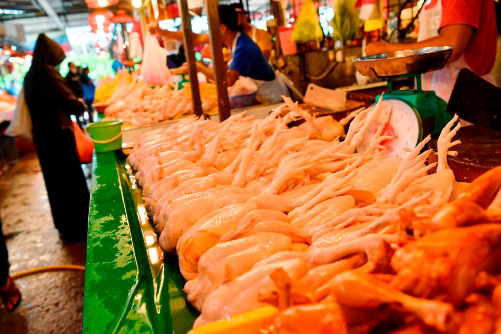 Reducing inflation to bring pain to households, businesses: Fed Chair