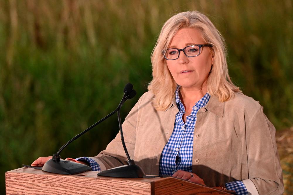 Republican Liz Cheney loses to Trump-backed challenger - Edison Research