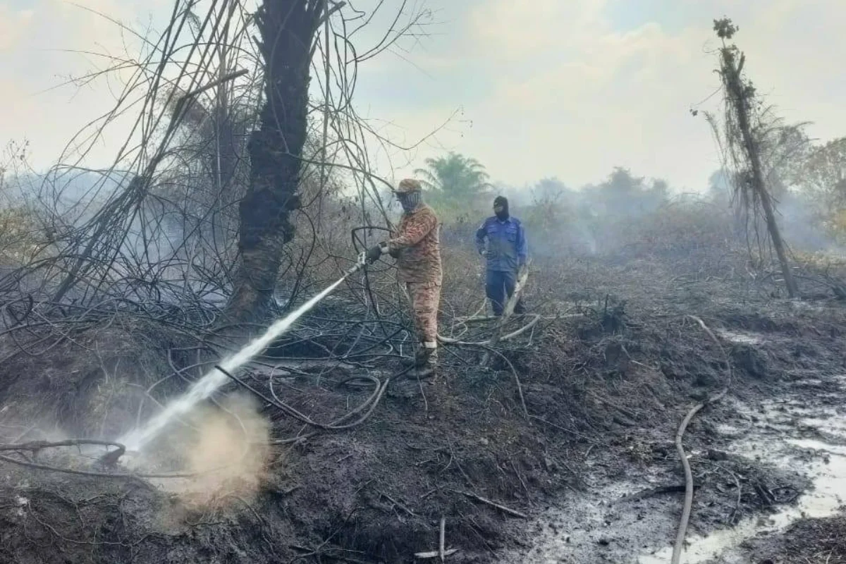 Rompin_air_quality_unhealthy_as_plantation_fire_persists