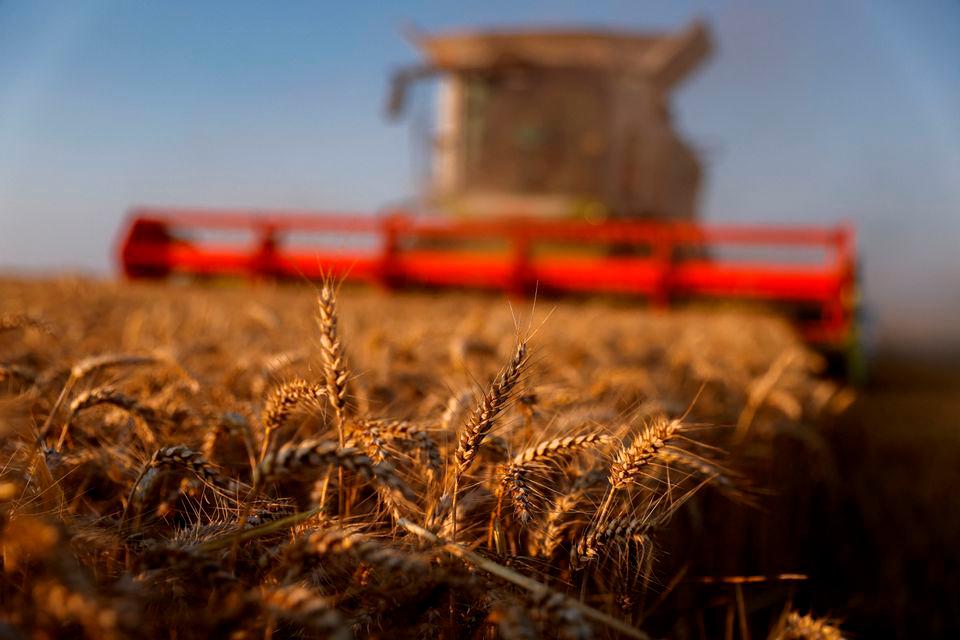 Russia-Ukraine conflict could push 11-19 million into hunger worldwide: FAO Russia-Ukraine conflict could push 11-19 million into hunger worldwide: FAO