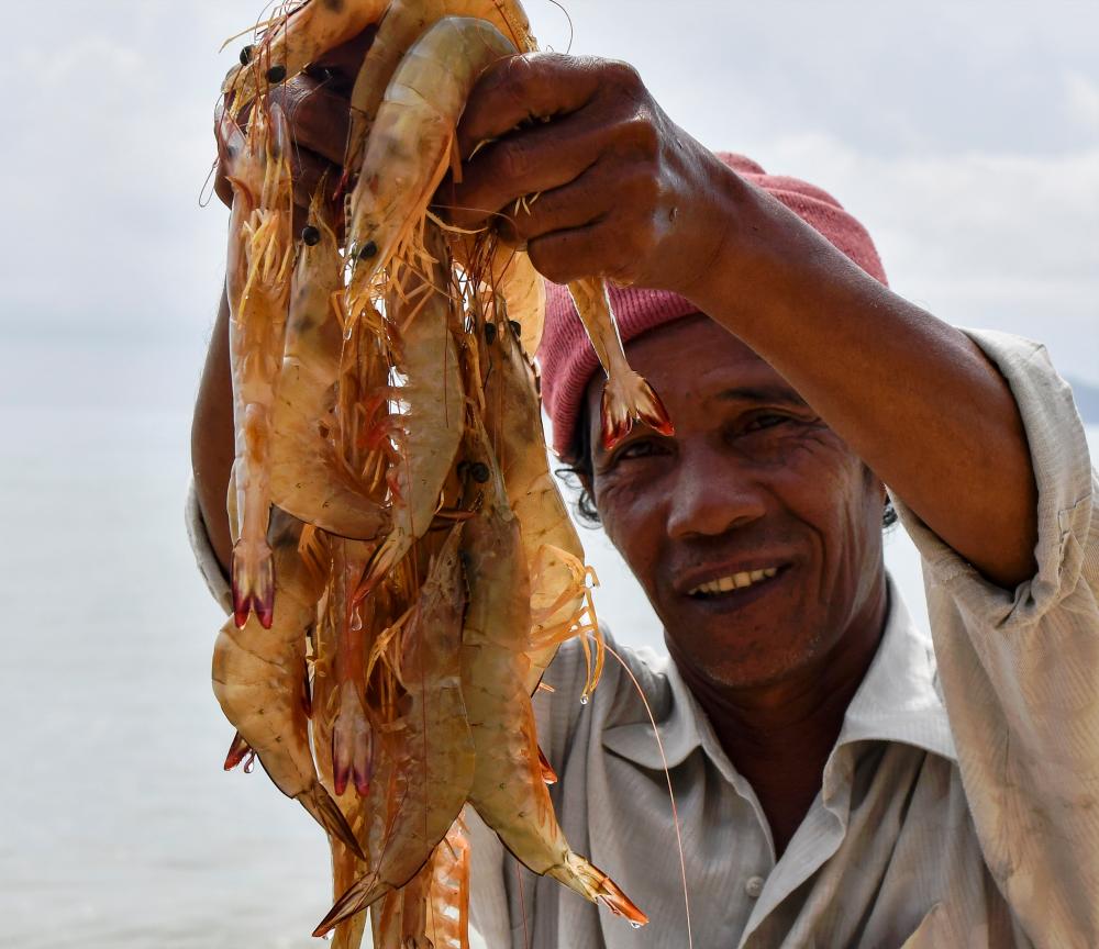 Sabah defers state sales tax on seafood exports till June Sabah defers state sales tax on seafood exports till June