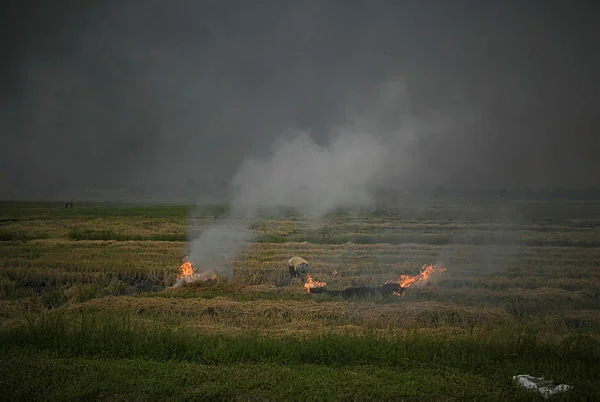 Sarawak_fire_department_warns_against_open_burning_as_cases_surge Sarawak fire department warns against open burning as cases surge