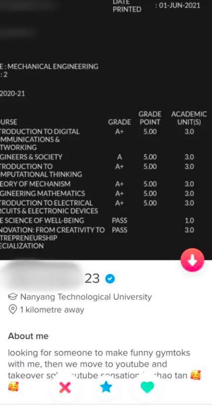 Singaporean flexes academic results on dating app