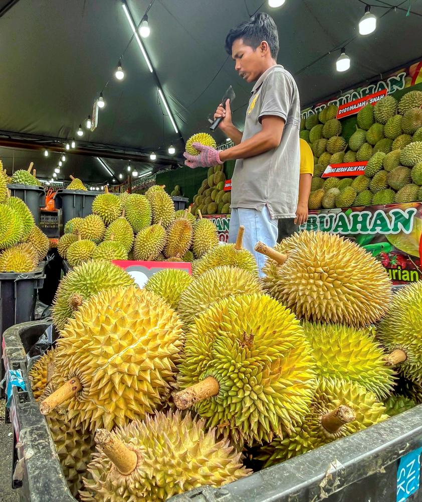‘Sirim certification would make Musang King pricier’