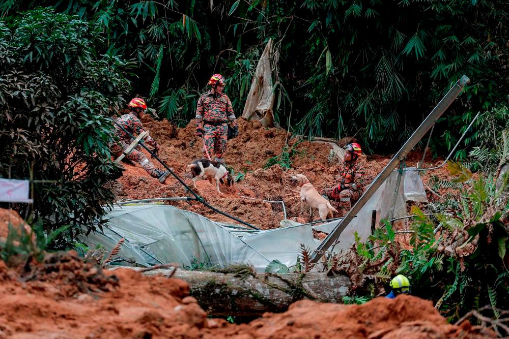 Tanah Runtuh: dua lagi mangsa ditemukan, angka korban meningkat 23 orang