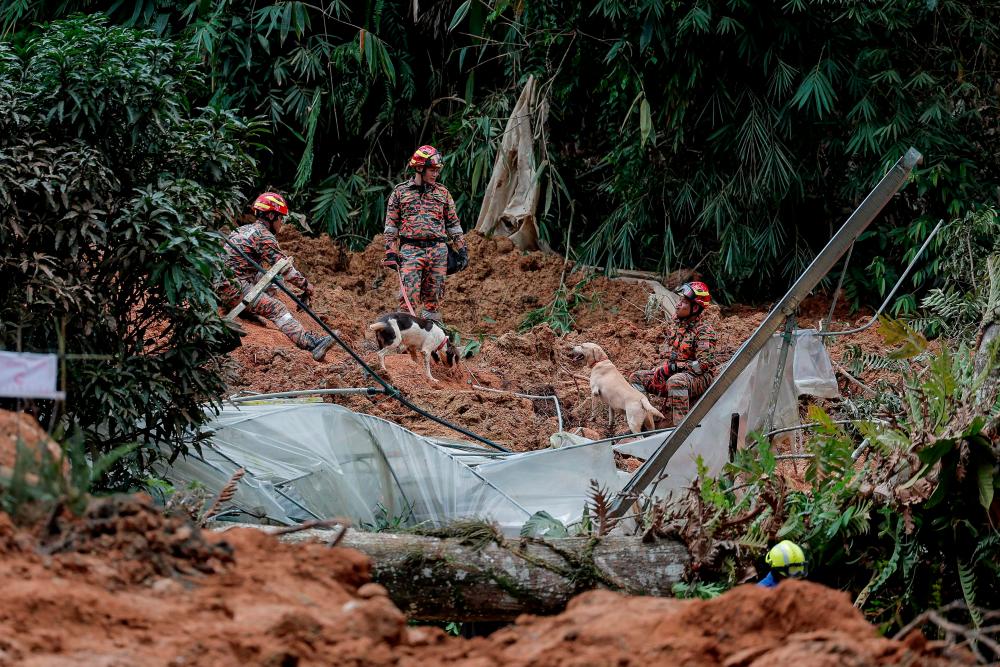 Tanah runtuh di Genting Highland: Pemimpin Singapura zahir ucapan takziah