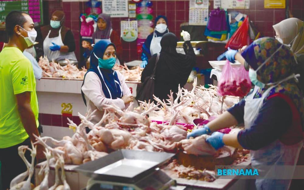 Targeted food subsidies – something for the govt to chew over Targeted food subsidies – something for the govt to chew over