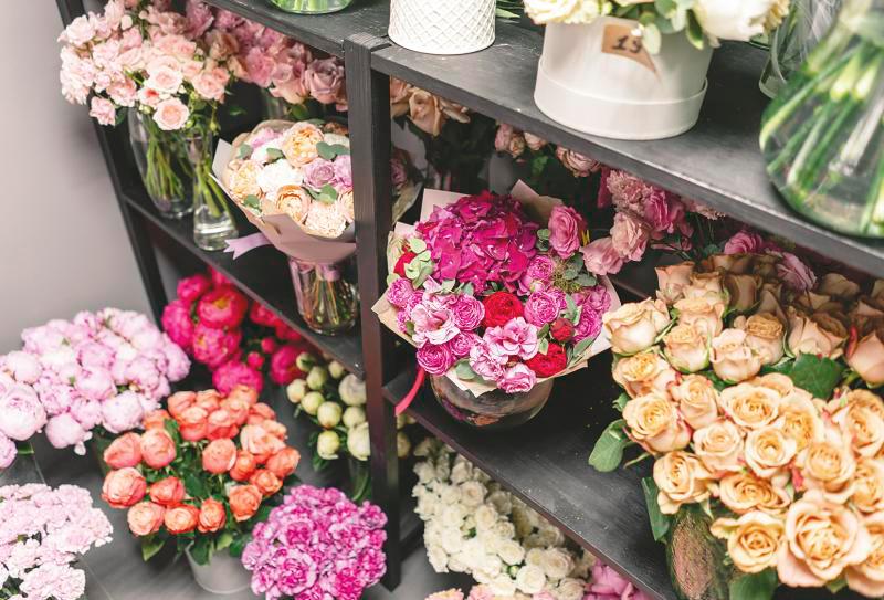 The language of flowers The language of flowers
