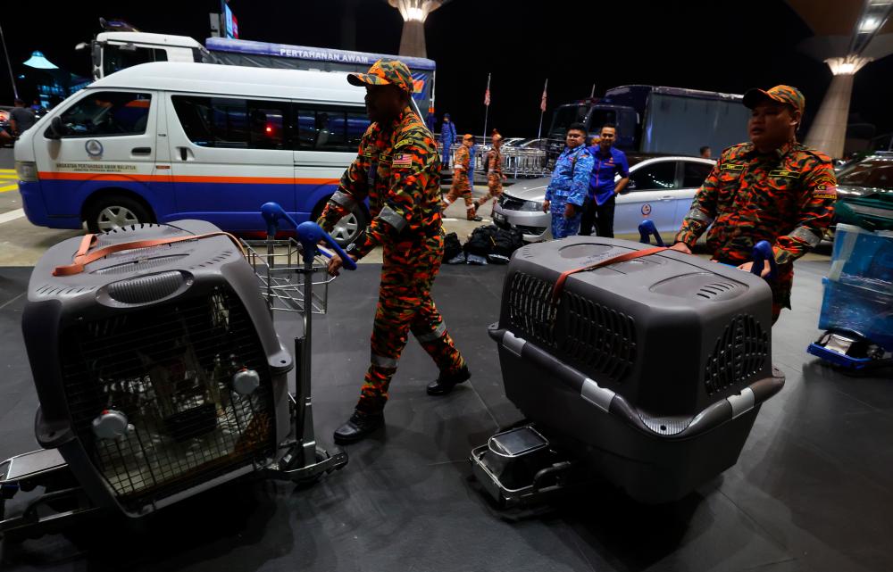 Tracker dogs Denti and Frankie part of SAR mission to Turkiye