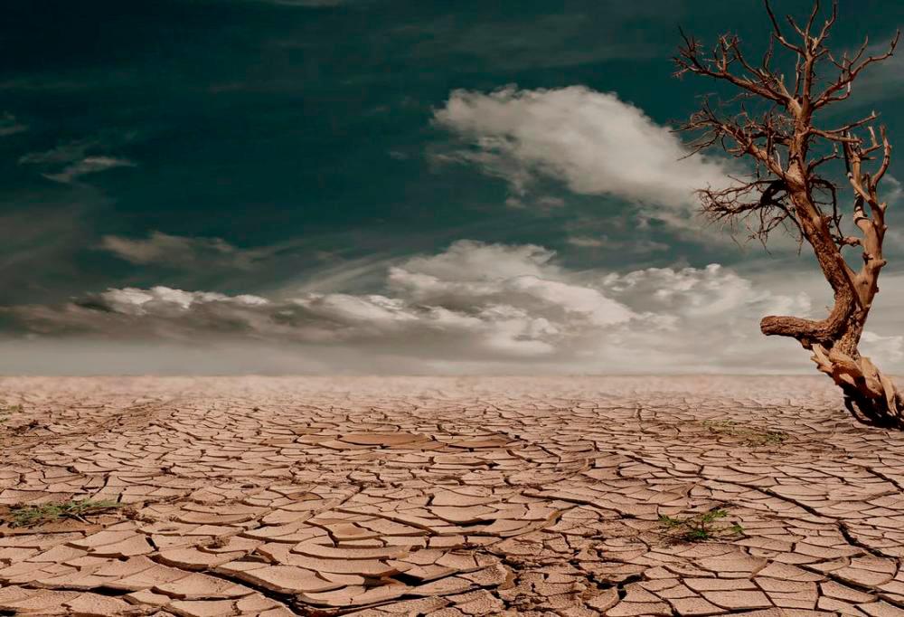 UK declares drought in parts of England amid heatwave