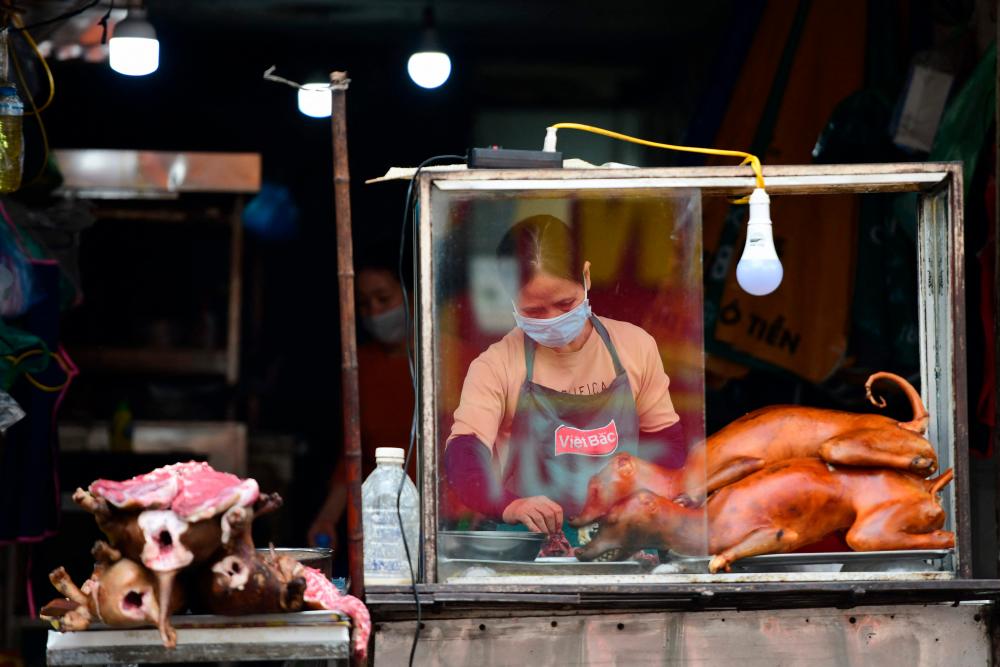 Vietnamese tourist city pledges to phase out dog and cat meat