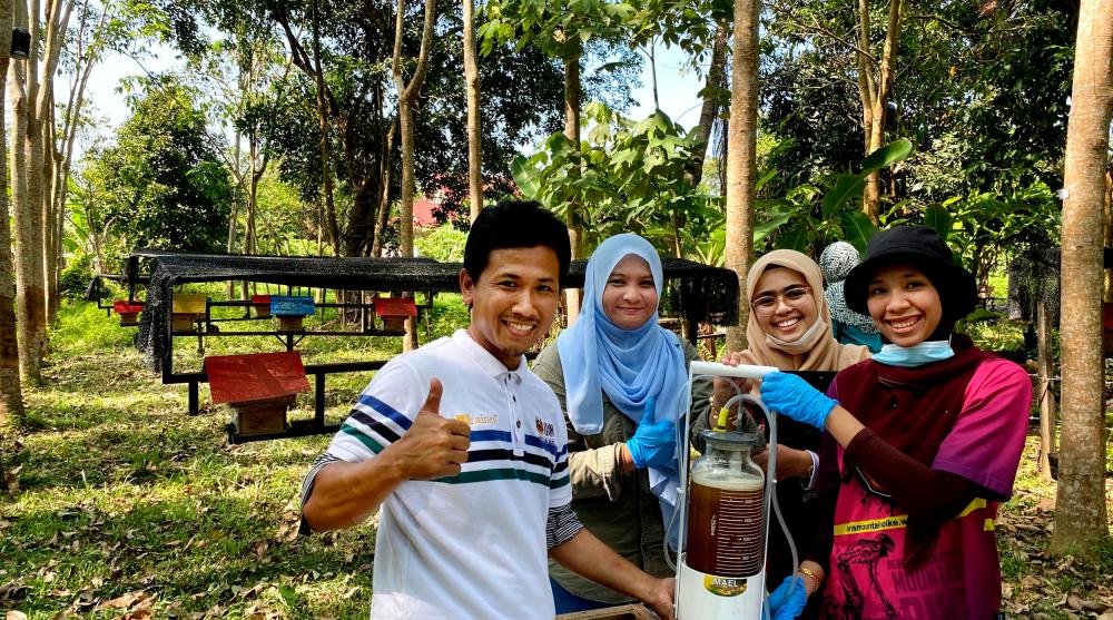 Weeding out unsustainable Kelulut honey harvesting practices