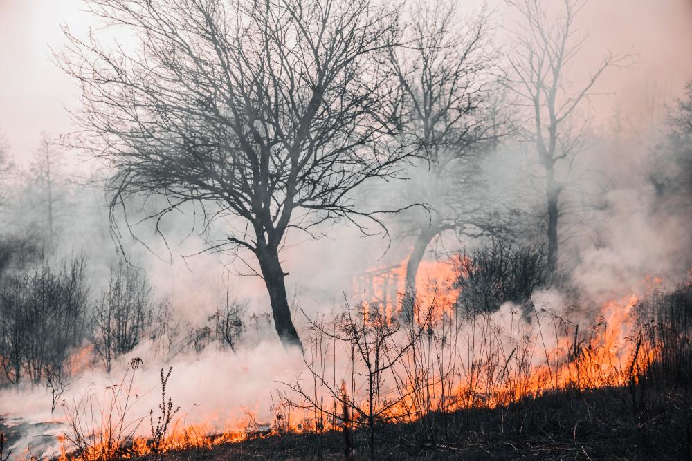 Western Australian officials warn of catastrophic bushfire conditions Western Australian officials warn of catastrophic bushfire conditions