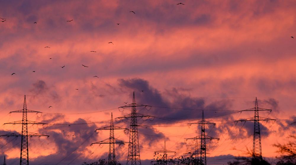World enters ‘new age’ of clean energy manufacturing: IEA World enters ‘new age’ of clean energy manufacturing: IEA