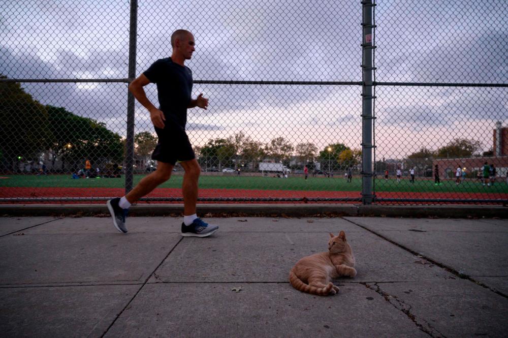 Worldâs longest race? 4,989km around a New York block